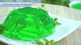 Characteristics of Alginate quotGelationquot [upl. by Nnyltiac]