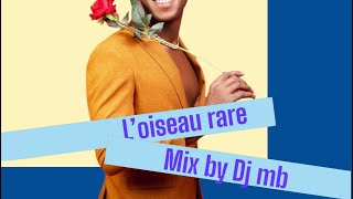 Loiseau Rare mix version 2023 [upl. by Danica]