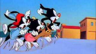 Animaniacs Season 1 Episode 1 [upl. by Cogswell271]