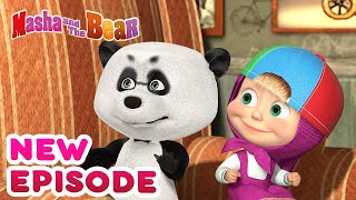 Masha and the Bear 💥🎬 NEW EPISODE 🎬💥 Best cartoon collection 🎪 Variety Show [upl. by Kevan704]