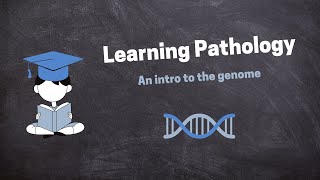 Pathology Introduction Lecture [upl. by Iglesias]