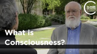 Daniel C Dennett  What is Consciousness [upl. by Notsirb507]