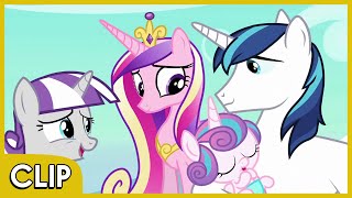 Flurry Heart conoce a sus Abuelos  MLP FiM Español Latino [upl. by Anirbes391]