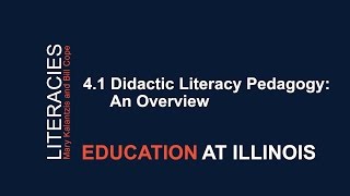 41 Didactic Literacy Pedagogy An Overview [upl. by Darcie]