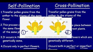 Self Pollination and Cross Pollination Quick 5 min Differences amp Comparisons [upl. by Annael]