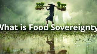 What is food sovereignty TABLE explainer video series [upl. by Aleris]