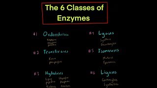 The 6 Classes of Enzymes w Mechanisms oxidoreductase transferase hydrolase lyase isomerase ligase [upl. by Griseldis]