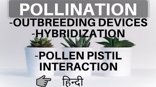 Pollination  outbreeding devices pollen pistil interaction artificial hybridization  Be Educated [upl. by Gaidano]