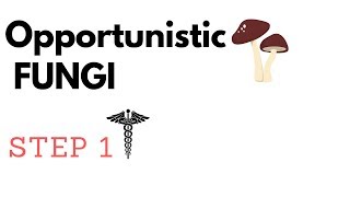 Opportunistic Fungi  Aspergillus Mucormycosis P jirovecii Candida amp Cryptococcus STEP1 [upl. by Romano]