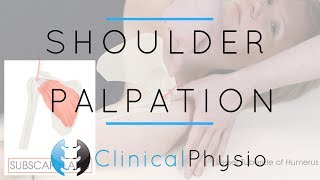 Shoulder Palpation  Clinical Physio Premium [upl. by Tdnarb]