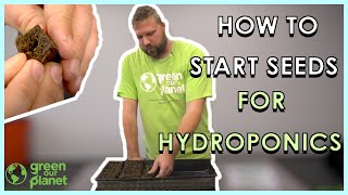 How to Start Your Seeds in a Hydroponics System [upl. by Adnilrev]