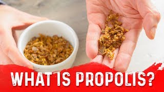 The Unique Benefits of Propolis Bee Glue – DrBerg [upl. by Kristo]