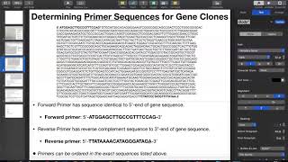 Primer Design for Cloning ENTIRE Gene Sequence [upl. by Ahsram]