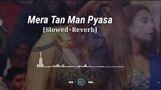 MERA TAN MAN PYASA MUJRA SLOWED amp REVERB [upl. by Maleeny]