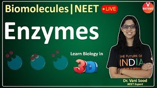 Biomolecules  Enzymes  CBSE Class 11 Biology Chapter 9  NEET 202324  Vani Maam [upl. by Gwen645]