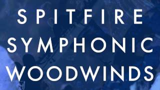 Spitfire Walkthrough Spitfire Symphonic Woodwinds [upl. by Loy100]