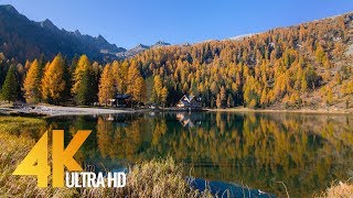 Italian Dolomites  Fall in the Alps  4K Nature Documentary  Episode 1 [upl. by Einiar773]