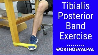 Tibialis Posterior strengthening exercise with a band [upl. by Higginbotham]