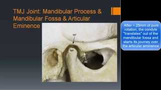 TMJ Basic Anatomy amp Biomechanics [upl. by Yvi]