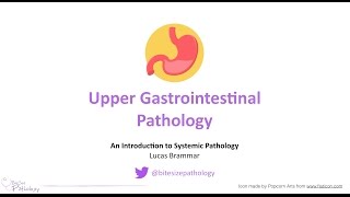 Upper Gastrointestinal GI Pathology  Introduction to Systemic Pathology [upl. by Bengt]