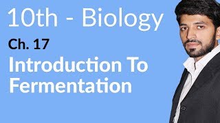 10th Class Biology Chapter 8  Introduction to Fermentation  Class 10 Biology Chapter 17 [upl. by Dira]