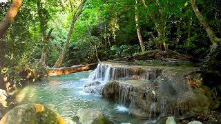 10 Hours Small Waterfall in the forest Relaxing Nature Sounds Waterfall White Noise for Sleeping [upl. by Alue]