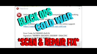 Black Ops Cold War  Scan and Repair FIX PC [upl. by February]