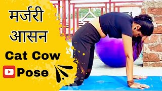 CATCOW POSE MarjaryasanaBitilasana [upl. by Aihsekel525]