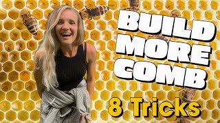 8 Tricks To Encourage Your Bees To Build More Comb EVEN IN JULY beekeeping [upl. by Alliw842]