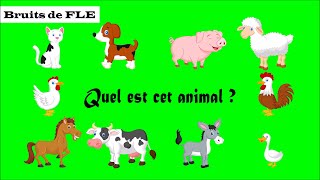 【Bruits de FLE】 Quel est cet animal  les animaux domestiques [upl. by Adiaj]