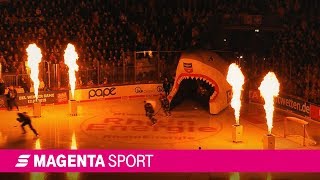 Derby 221 Kölner Haie vs Düsseldorfer EG 1819  MAGENTA SPORT [upl. by Robb50]