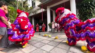 Lam ngai lion dance training center Serdang Choy cheng [upl. by Ecinad]