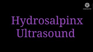 Hydrosalpinx Ultrasound [upl. by Nauqaj505]