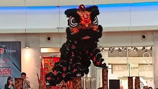 Kwong Ngai Acrobatic Lion Dance [upl. by Aniratak416]