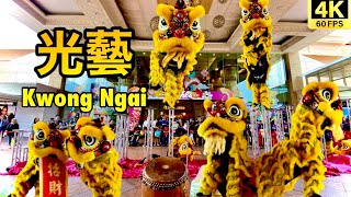 Kwong Ngai Lion Dance Performance At Sunway Pyramid Mall Kuala Lumpur Malaysia  马来西亚吉隆坡双威广场光藝舞獅表演 ｜ [upl. by Reuven]