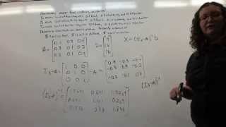 Leontif Input Output Economic Model [upl. by Hebrew920]