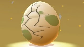 5 Things You Need to Know About Hatching Eggs in Pokemon Go [upl. by Adey]