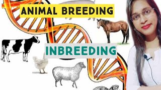 Animal Breeding Inbreeding  full notes  Animal Husbandry [upl. by Linden445]