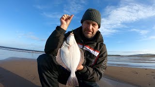 Beach Fishing for Beginners Catching Flounder and Dabs  Shore Fishing UK  Dunbar [upl. by Lewert103]