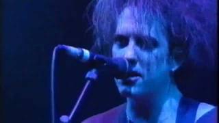 The Cure  Friday Im In Love  Official Live Video  HD [upl. by Nnylyam467]