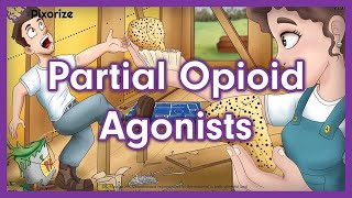 Partial Opioid Agonists Mnemonic for USMLE [upl. by Ynaffets965]