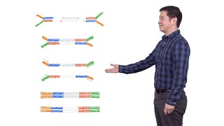 Next Generation Sequencing 2 Illumina NGS Sample Preparation  Eric Chow UCSF [upl. by Arrik]