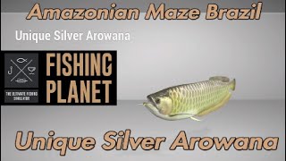 Unique Silver Arowana  Amazonian Maze Brazil  Fishing Planet Guide [upl. by Ahsinad925]