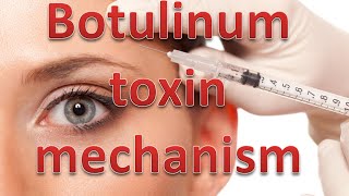 Botulinum toxin mechanism [upl. by Talyah]