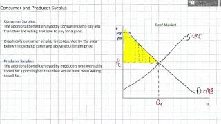 Consumer Surplus and Producer Surplus [upl. by Selec328]