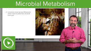 Metabolic Wizardry Microbial Metabolism – Microbiology  Lecturio [upl. by Aremaj9]