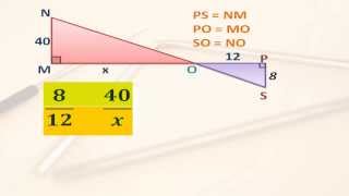 Triangulos semejantes y proporcionalidad [upl. by Isiad]