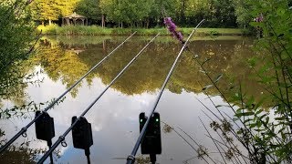 Fishing UK for 21 Days PART 1 Carp Shark Conger Eel Coarse amp Sea Angling [upl. by Nyliac]