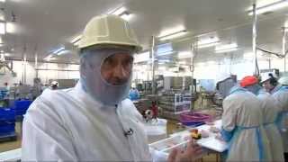 Inside the Cargill Chicken Plant in Hereford [upl. by Haimaj]