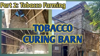 TOBACCO CURING BARN  TOBACCO FARMING [upl. by Markland]